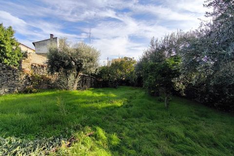 Helårsgrund i Escalos de Cima e Lousa, Castelo Branco, Escalos de Cima e Lousa - € 25.000 | Ref: SÒL_421 - foto 12