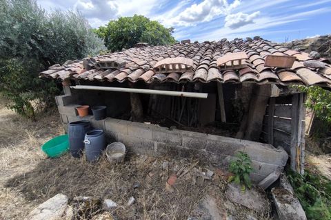 Helårsgrund i Escalos de Cima e Lousa, Castelo Branco, Escalos de Cima e Lousa - € 25.000 | Ref: SÒL_421 - foto 13
