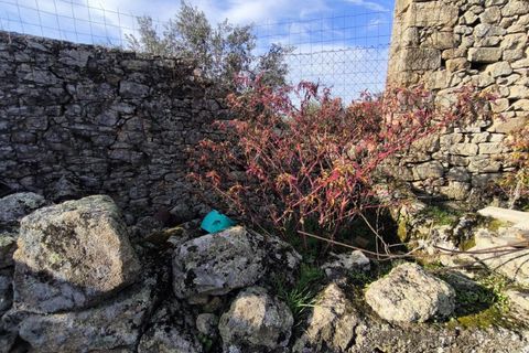 Helårsgrund i Escalos de Cima e Lousa, Castelo Branco, Escalos de Cima e Lousa - € 25.000 | Ref: SÒL_421 - foto 14