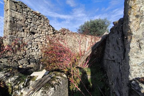 Helårsgrund i Escalos de Cima e Lousa, Castelo Branco, Escalos de Cima e Lousa - € 25.000 | Ref: SÒL_421 - foto 15