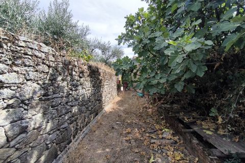 Helårsgrund i Escalos de Cima e Lousa, Castelo Branco, Escalos de Cima e Lousa - € 25.000 | Ref: SÒL_421 - foto 17