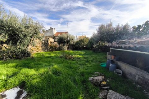 Helårsgrund i Escalos de Cima e Lousa, Castelo Branco, Escalos de Cima e Lousa - € 25.000 | Ref: SÒL_421 - foto 18