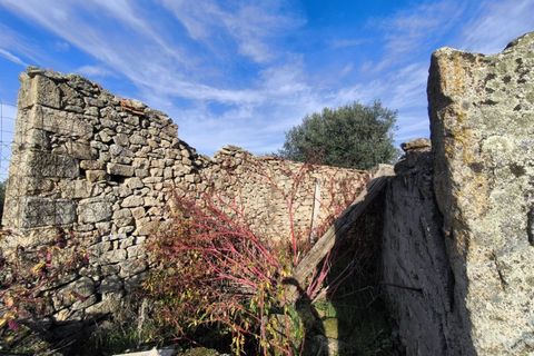 Helårsgrund i Escalos de Cima e Lousa, Castelo Branco, Escalos de Cima e Lousa - € 25.000 | Ref: SÒL_421 - foto 20