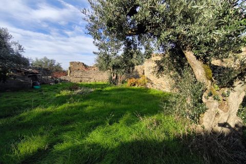 Helårsgrund i Escalos de Cima e Lousa, Castelo Branco, Escalos de Cima e Lousa - € 25.000 | Ref: SÒL_421 - foto 21