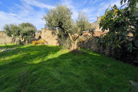 Helårsgrund i Escalos de Cima e Lousa, Castelo Branco, Escalos de Cima e Lousa - € 25.000 | Ref: SÒL_421 - foto 22