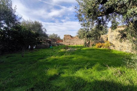 Helårsgrund i Escalos de Cima e Lousa, Castelo Branco, Escalos de Cima e Lousa - € 25.000 | Ref: SÒL_421 - foto 23