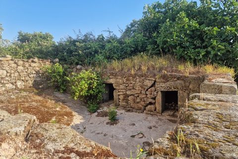 Landejendom i Penamacor, Castelo Branco, Penamacor - € 850.000 | Ref: CAS_488 - foto 36
