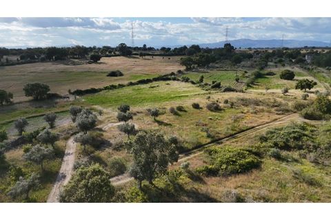 Helårsgrund i Escalos de Cima e Lousa, Castelo Branco, Escalos de Cima e Lousa - € 19.000 | Ref: SÒL_395 - foto 1