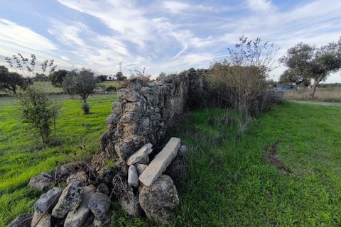 Helårsgrund i Escalos de Cima e Lousa, Castelo Branco, Escalos de Cima e Lousa - € 19.000 | Ref: SÒL_395 - foto 3