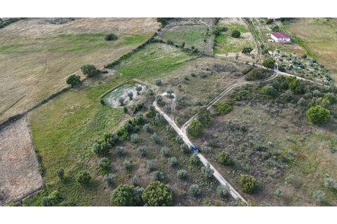 Helårsgrund i Escalos de Cima e Lousa, Castelo Branco, Escalos de Cima e Lousa - € 19.000 | Ref: SÒL_395 - foto 4