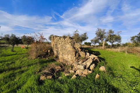 Helårsgrund i Escalos de Cima e Lousa, Castelo Branco, Escalos de Cima e Lousa - € 19.000 | Ref: SÒL_395 - foto 5