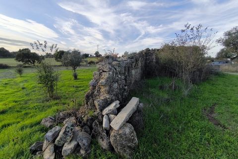 Helårsgrund i Escalos de Cima e Lousa, Castelo Branco, Escalos de Cima e Lousa - € 19.000 | Ref: SÒL_395 - foto 6