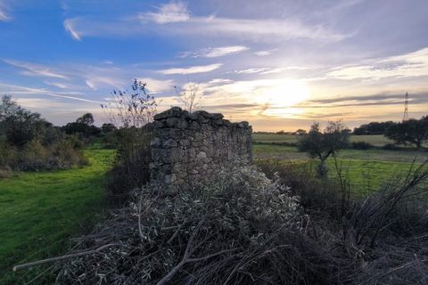 Helårsgrund i Escalos de Cima e Lousa, Castelo Branco, Escalos de Cima e Lousa - € 19.000 | Ref: SÒL_395 - foto 7