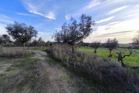 Helårsgrund i Escalos de Cima e Lousa, Castelo Branco, Escalos de Cima e Lousa - € 19.000 | Ref: SÒL_395 - foto 8