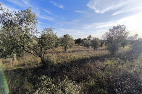 Helårsgrund i Escalos de Cima e Lousa, Castelo Branco, Escalos de Cima e Lousa - € 19.000 | Ref: SÒL_395 - foto 9