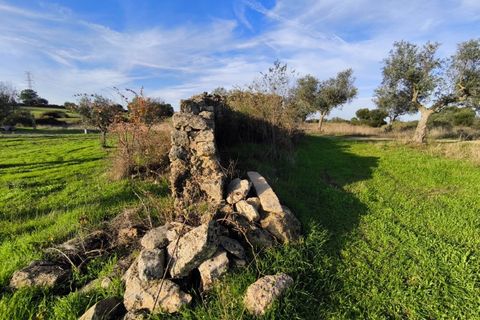 Helårsgrund i Escalos de Cima e Lousa, Castelo Branco, Escalos de Cima e Lousa - € 19.000 | Ref: SÒL_395 - foto 10