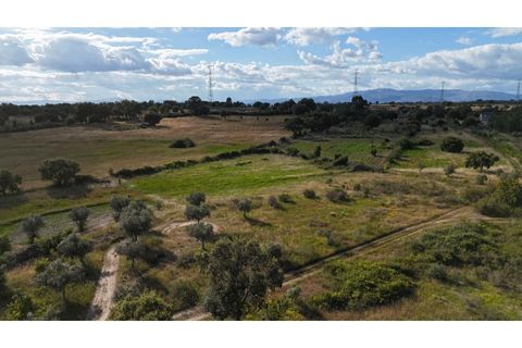 Helårsgrund i Escalos de Cima e Lousa, Castelo Branco, Escalos de Cima e Lousa - € 19.000 | Ref: SÒL_395 - foto 11