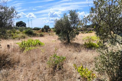 Helårsgrund i Escalos de Cima e Lousa, Castelo Branco, Escalos de Cima e Lousa - € 19.000 | Ref: SÒL_395 - foto 12