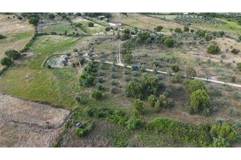 Helårsgrund i Escalos de Cima e Lousa, Castelo Branco, Escalos de Cima e Lousa - € 19.000 | Ref: SÒL_395 - foto 14