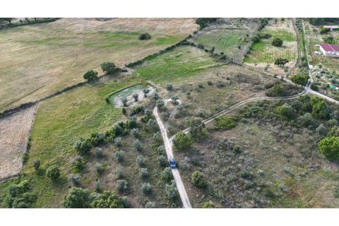 Helårsgrund i Escalos de Cima e Lousa, Castelo Branco, Escalos de Cima e Lousa - € 19.000 | Ref: SÒL_395 - foto 16