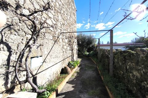 Villa i Escalos de Cima e Lousa, Castelo Branco, Escalos de Cima e Lousa - € 79.000 | Ref: CAS_351 - foto 13