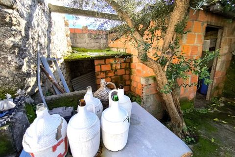 Villa i Escalos de Cima e Lousa, Castelo Branco, Escalos de Cima e Lousa - € 79.000 | Ref: CAS_351 - foto 30