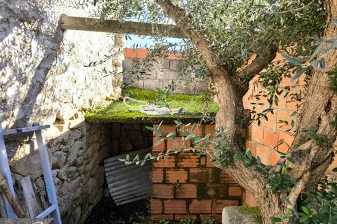 Villa i Escalos de Cima e Lousa, Castelo Branco, Escalos de Cima e Lousa - € 79.000 | Ref: CAS_351 - foto 35