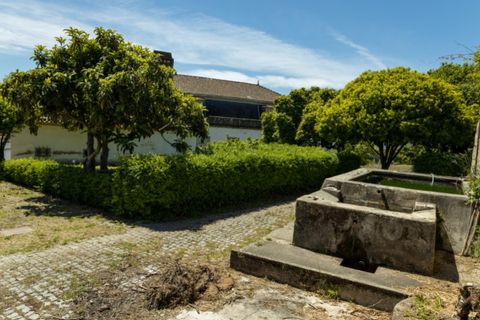 Villa i Tortosendo, Castelo Branco, Tortosendo - € 500.000 | Ref: PAL_43 - foto 14
