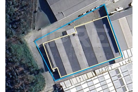 Propriedade comercial em Trofa, Porto, Trofa - € 17.000/mês | Ref: ARM_433 - foto 1