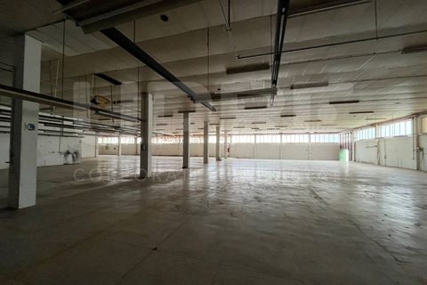 Propriedade comercial em Trofa, Porto, Trofa - € 17.000/mês | Ref: ARM_433 - foto 5