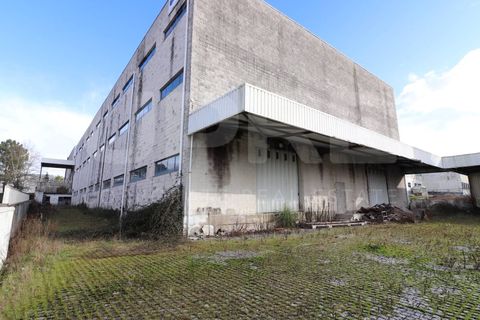 L'establiment comercial a Pedroso, Porto, Pedroso - € 14.000/mes | Ref: ARM_376 (2) - foto 6