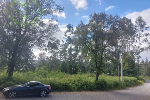 Helårsgrund i Santo Tirso, Porto, Santo Tirso - € 175.000 | Ref: SÒL_1509 - foto 5