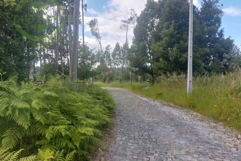 Helårsgrund i Santo Tirso, Porto, Santo Tirso - € 175.000 | Ref: SÒL_1509 - foto 8