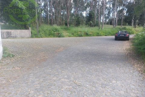Helårsgrund i Santo Tirso, Porto, Santo Tirso - € 175.000 | Ref: SÒL_1509 - foto 9