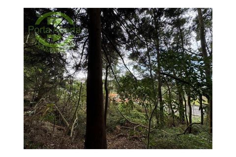 Villa i Angra do Heroismo, Terceira, Angra do Heroismo - € 125.000 | Ref: CAS_1496 - foto 5