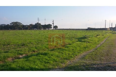 Helårsgrund i Benavente, Santarem, Benavente - € 100.000 | Ref: HA555 - foto 2