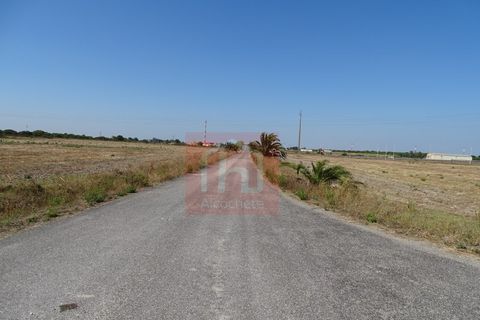 Helårsgrund i Benavente, Santarem, Benavente - € 100.000 | Ref: HA555 - foto 5