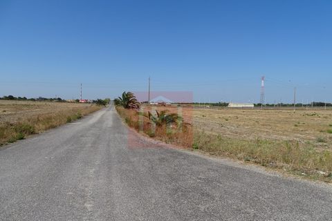 Helårsgrund i Benavente, Santarem, Benavente - € 100.000 | Ref: HA555 - foto 6