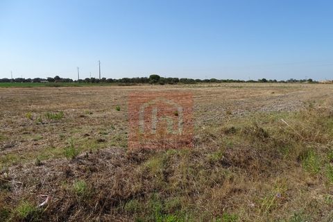 Helårsgrund i Benavente, Santarem, Benavente - € 100.000 | Ref: HA555 - foto 7