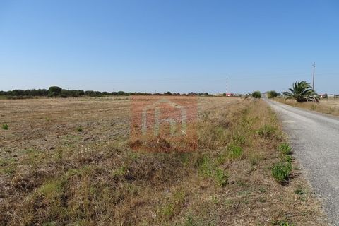 Helårsgrund i Benavente, Santarem, Benavente - € 100.000 | Ref: HA555 - foto 8