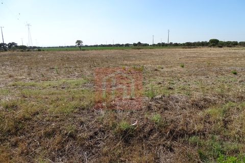 Helårsgrund i Benavente, Santarem, Benavente - € 100.000 | Ref: HA555 - foto 9