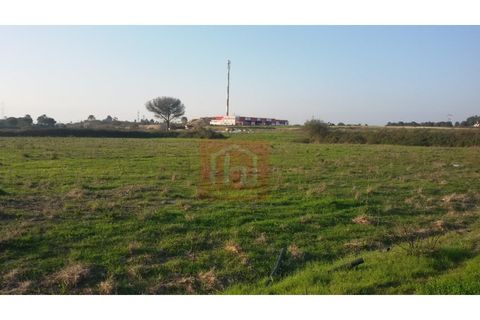 Helårsgrund i Benavente, Santarem, Benavente - € 550.000 | Ref: HA0009 - foto 7