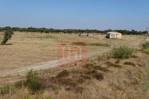 Helårsgrund i Benavente, Santarem, Benavente - € 550.000 | Ref: HA0009 - foto 11