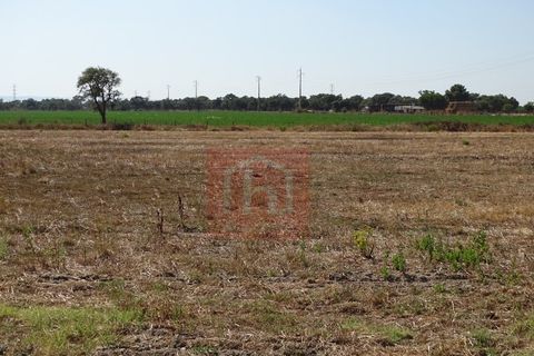 Helårsgrund i Benavente, Santarem, Benavente - € 550.000 | Ref: HA0009 - foto 12