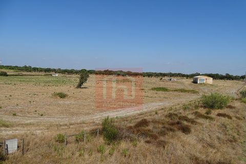 Helårsgrund i Benavente, Santarem, Benavente - € 550.000 | Ref: HA0009 - foto 14