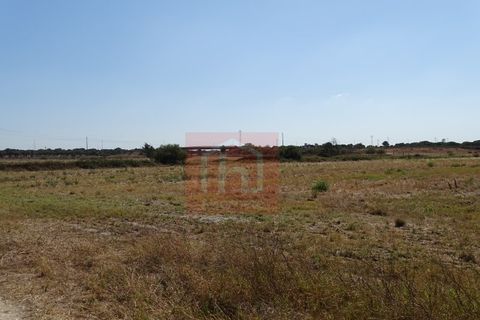 Helårsgrund i Benavente, Santarem, Benavente - € 550.000 | Ref: HA0009 - foto 16