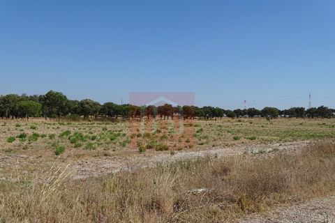 Helårsgrund i Benavente, Santarem, Benavente - € 550.000 | Ref: HA0009 - foto 17