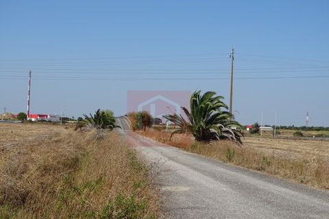 Helårsgrund i Benavente, Santarem, Benavente - € 550.000 | Ref: HA0009 - foto 18