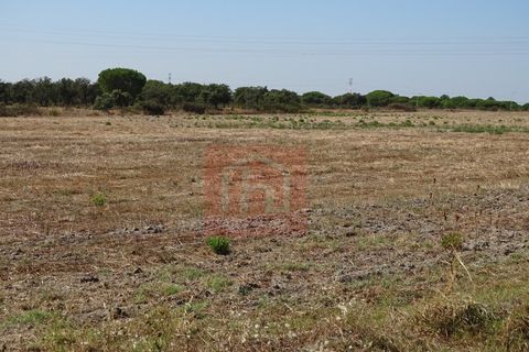 Helårsgrund i Benavente, Santarem, Benavente - € 550.000 | Ref: HA0009 - foto 19