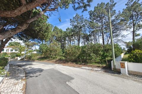 Helårsgrund i Vau, Leiria, Vau - € 335.000 | Ref: BL1368 - foto 5
